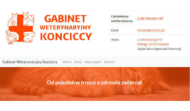 Wykonano: projekt oraz szablon